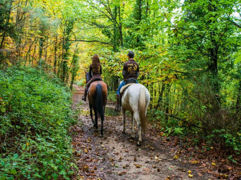 Acogedor Apartamento Valle Del Jerte Piornal Zewnętrze zdjęcie